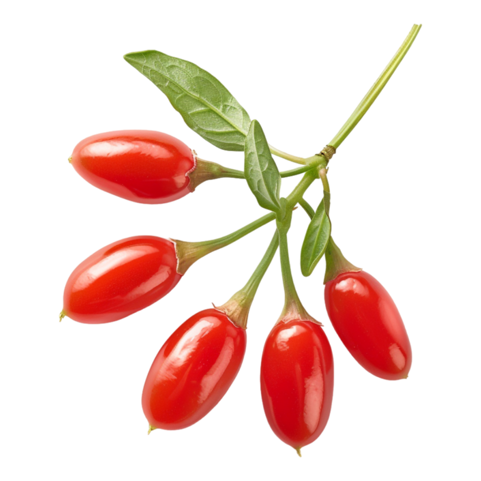 Goji Berry on Transparent Background png