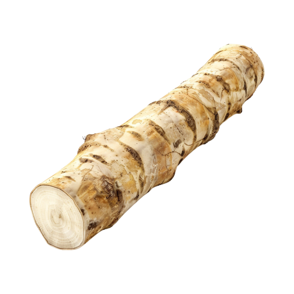 Ginger Stick on Transparent Background png