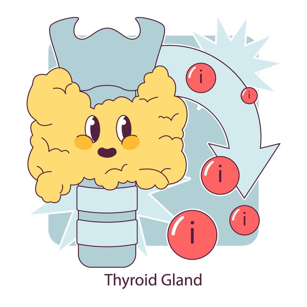 Endocrine system organ and disease. Human gland function. Thyroid vector
