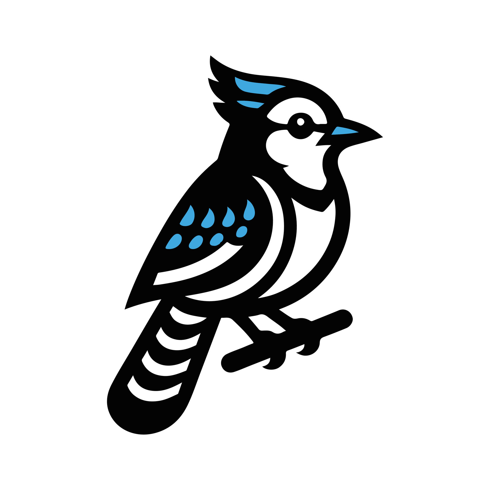 Stylized Blue Jay Bird Illustration - Vibrant and Detailed Blue Jay
