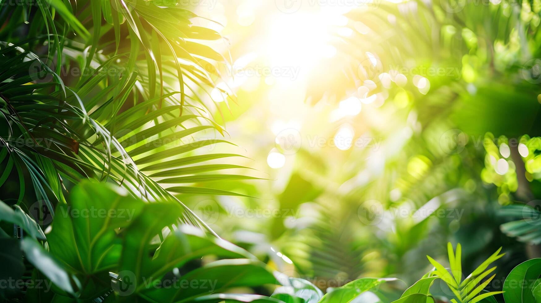 A serene, natural background with lush greenery and gentle sunlight for product photo