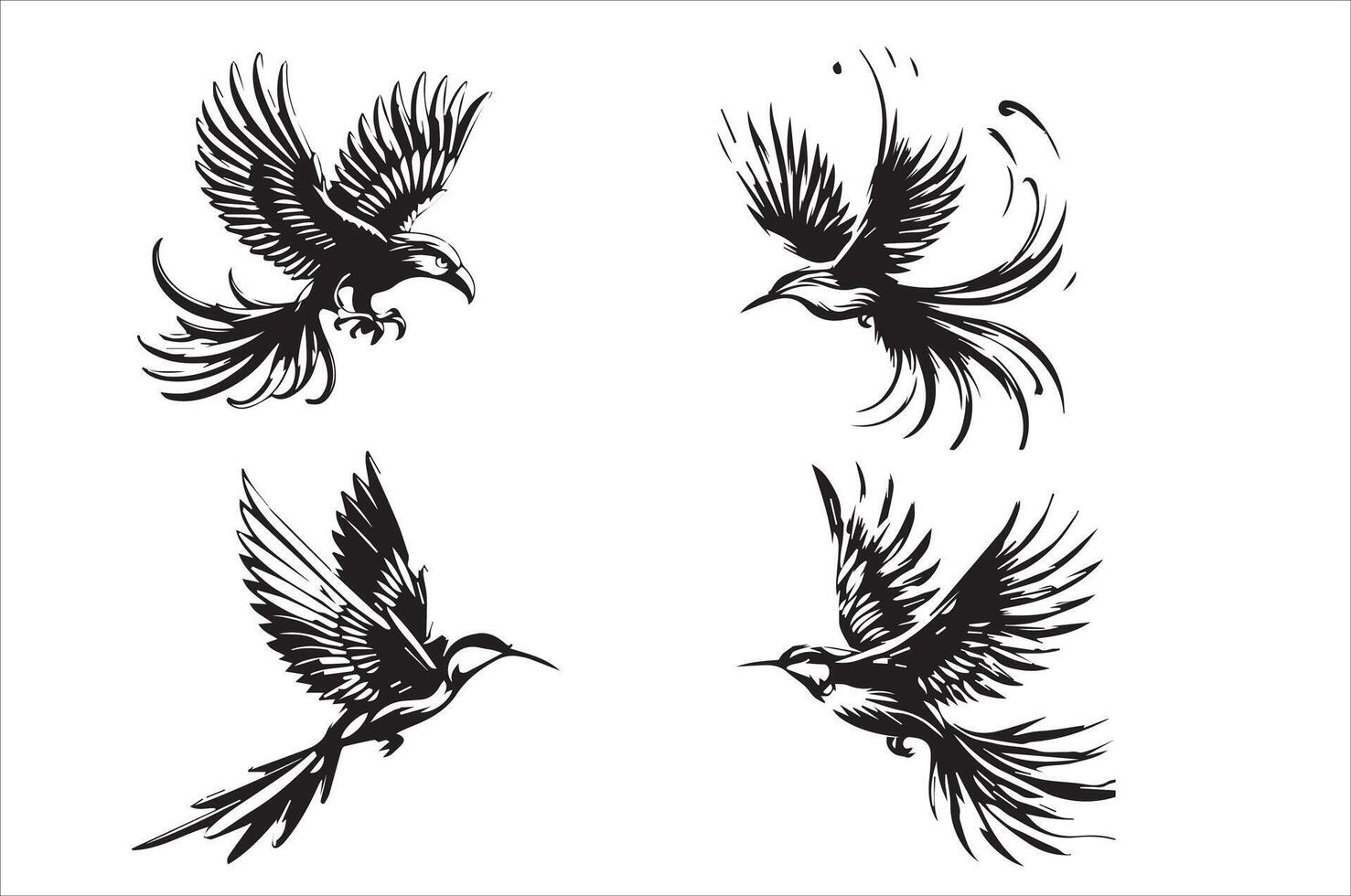 Print bird illustrations. vector