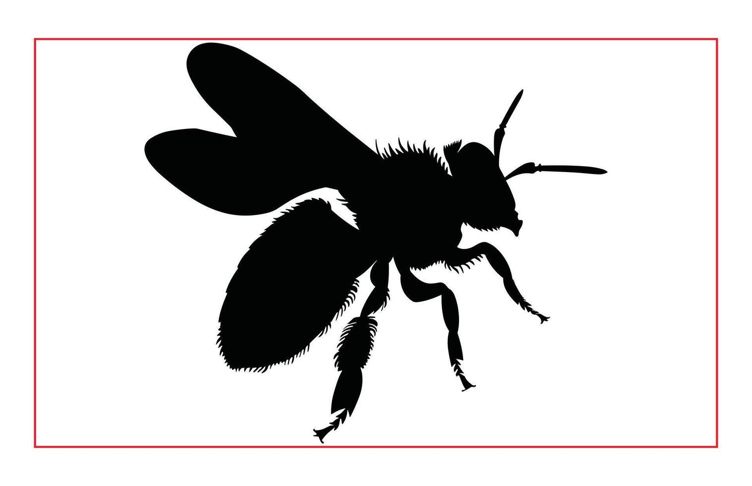 Honey Bee Hand drawing silhouette, Illustration of Bee Silhouette Art vector