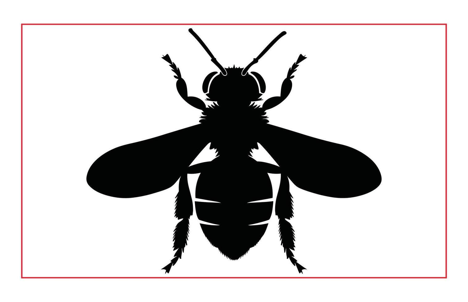 Honey Bee Hand drawing silhouette, Illustration of Bee Silhouette Art vector