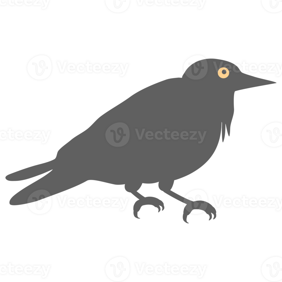a black crow on a transparent background png