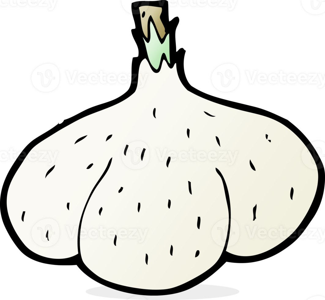 cartoon garlic drawing png