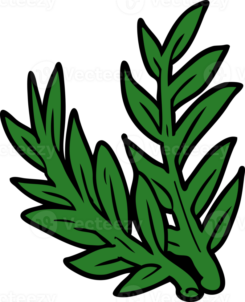 cartoon plant drawing png