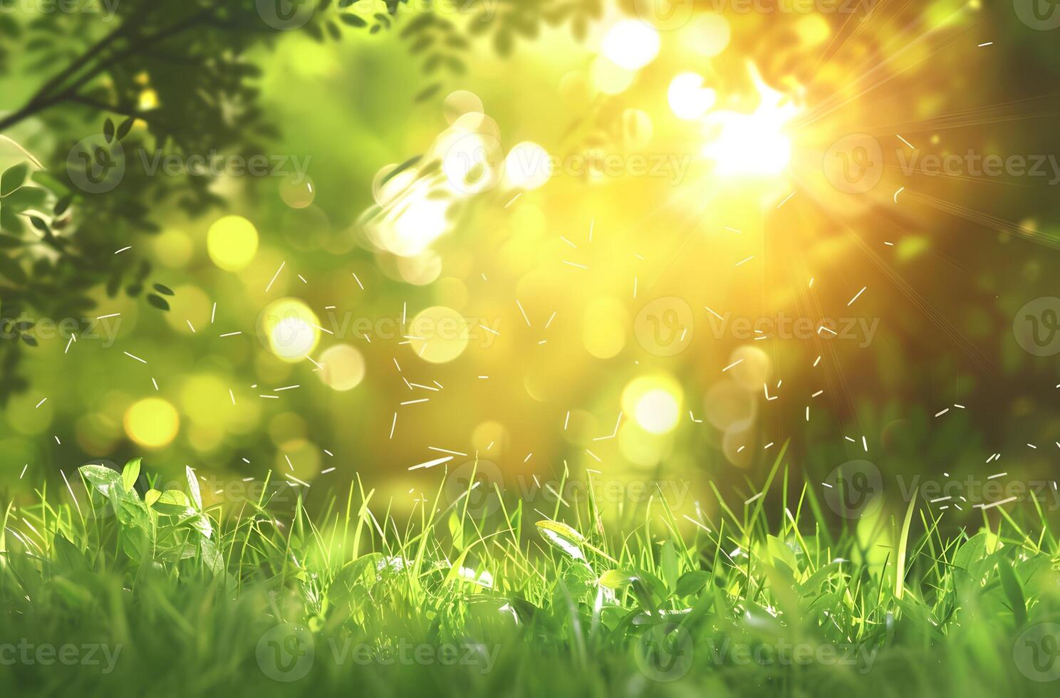 Blurred Summer Nature Background with Sun Rays and Grass photo