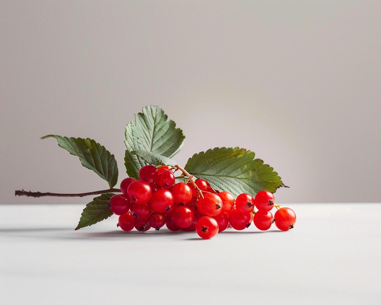 Red Currant on White Table photo