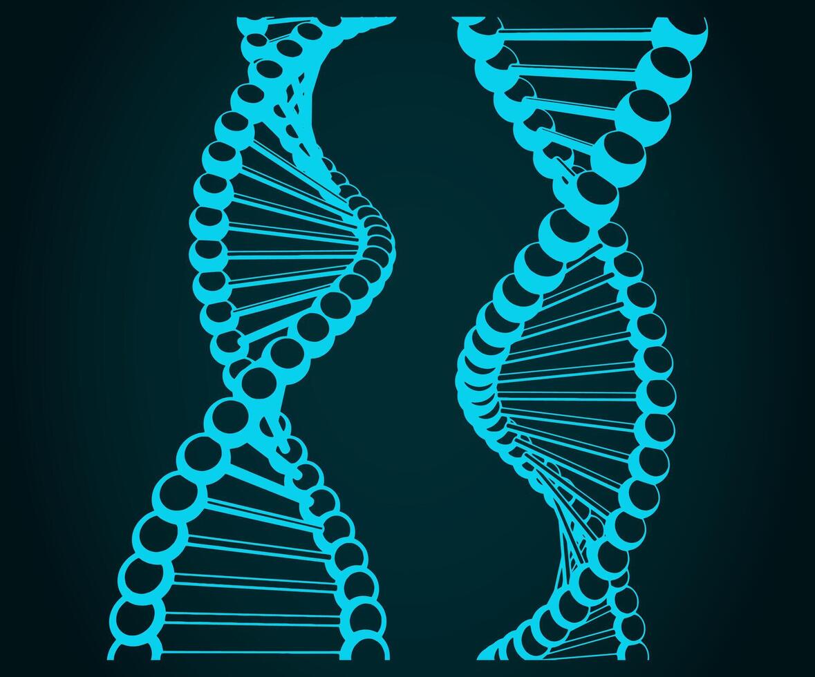 DNA chains illustration vector