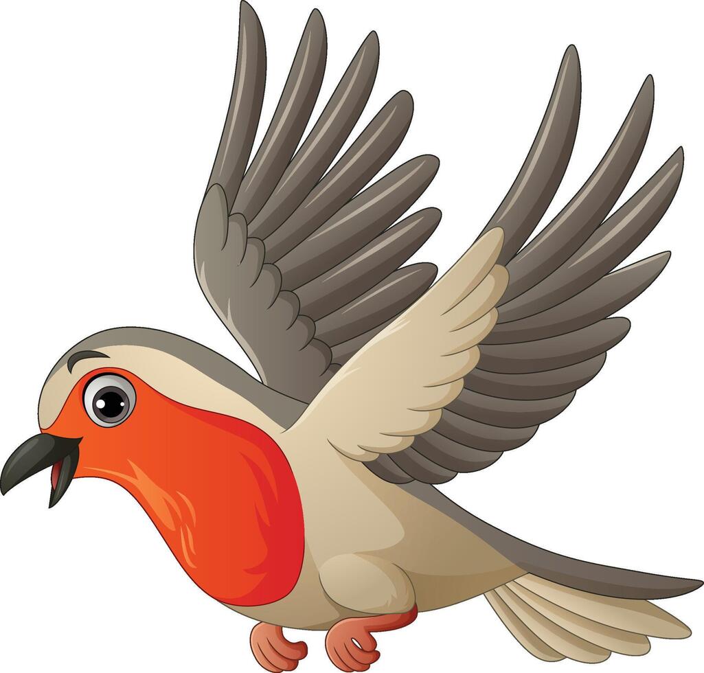 Cartoon robin bird flying on white background vector