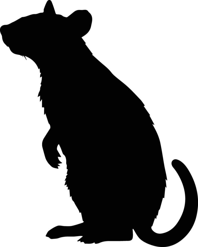 Silhouette Animal Rat Image vector