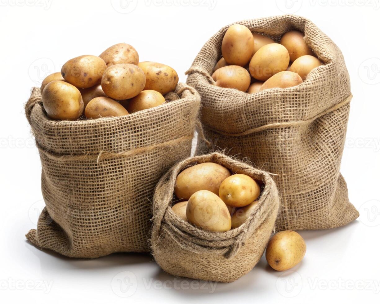 three sacks of potatoes on a white background photo