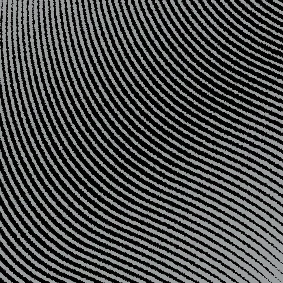 abstract black lines background vector