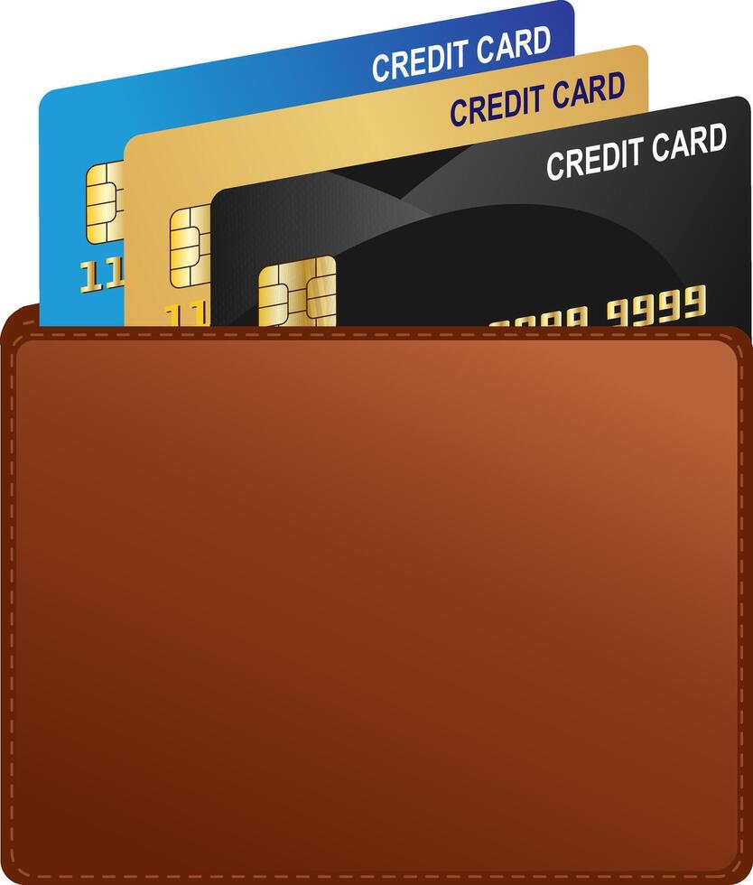 Wallet in front view and credit card illustration vector