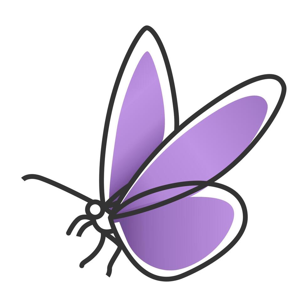 Flat Butterfly Outline Illustration Design vector