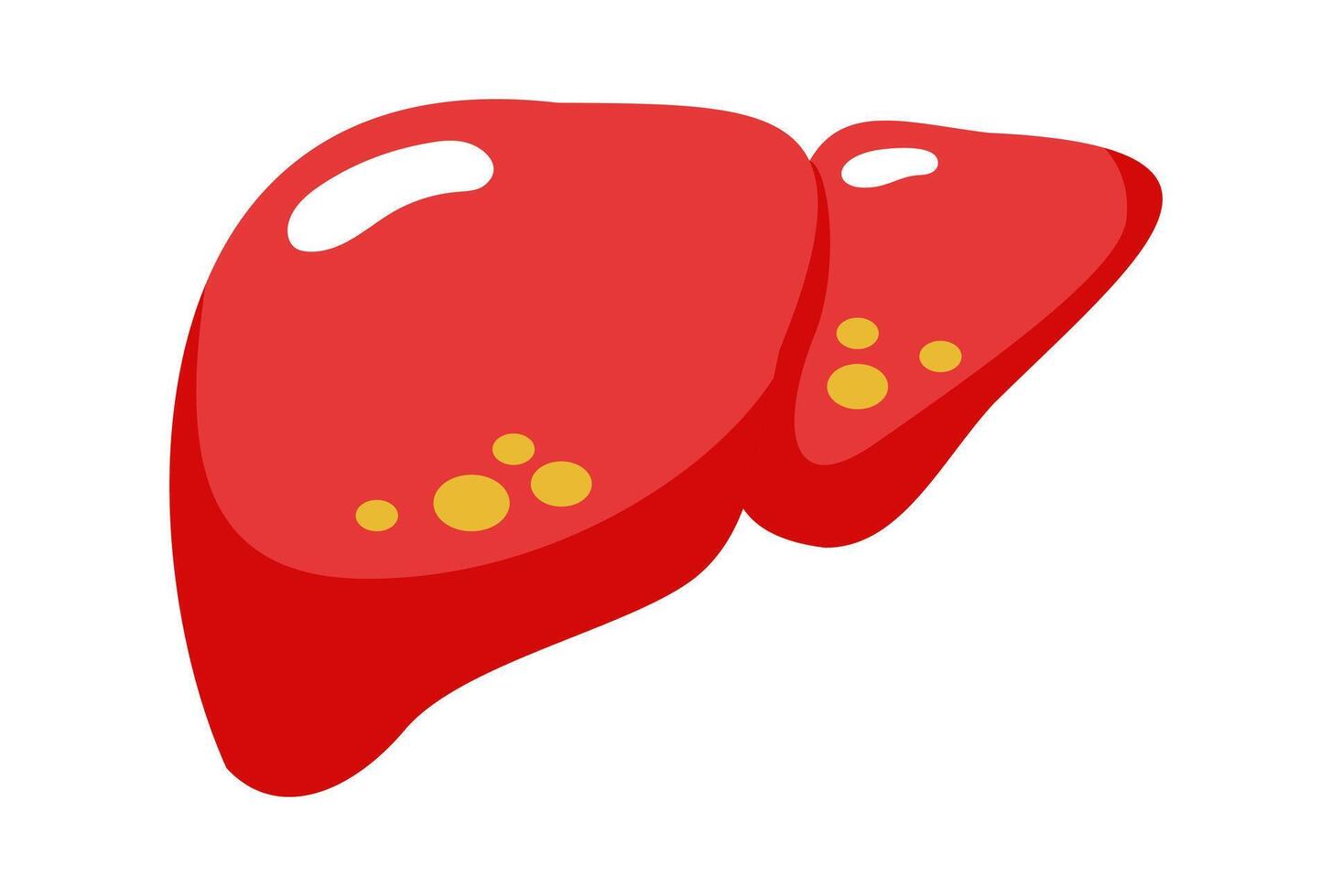 Flat Hepatitis Liver Cancer Illustration vector