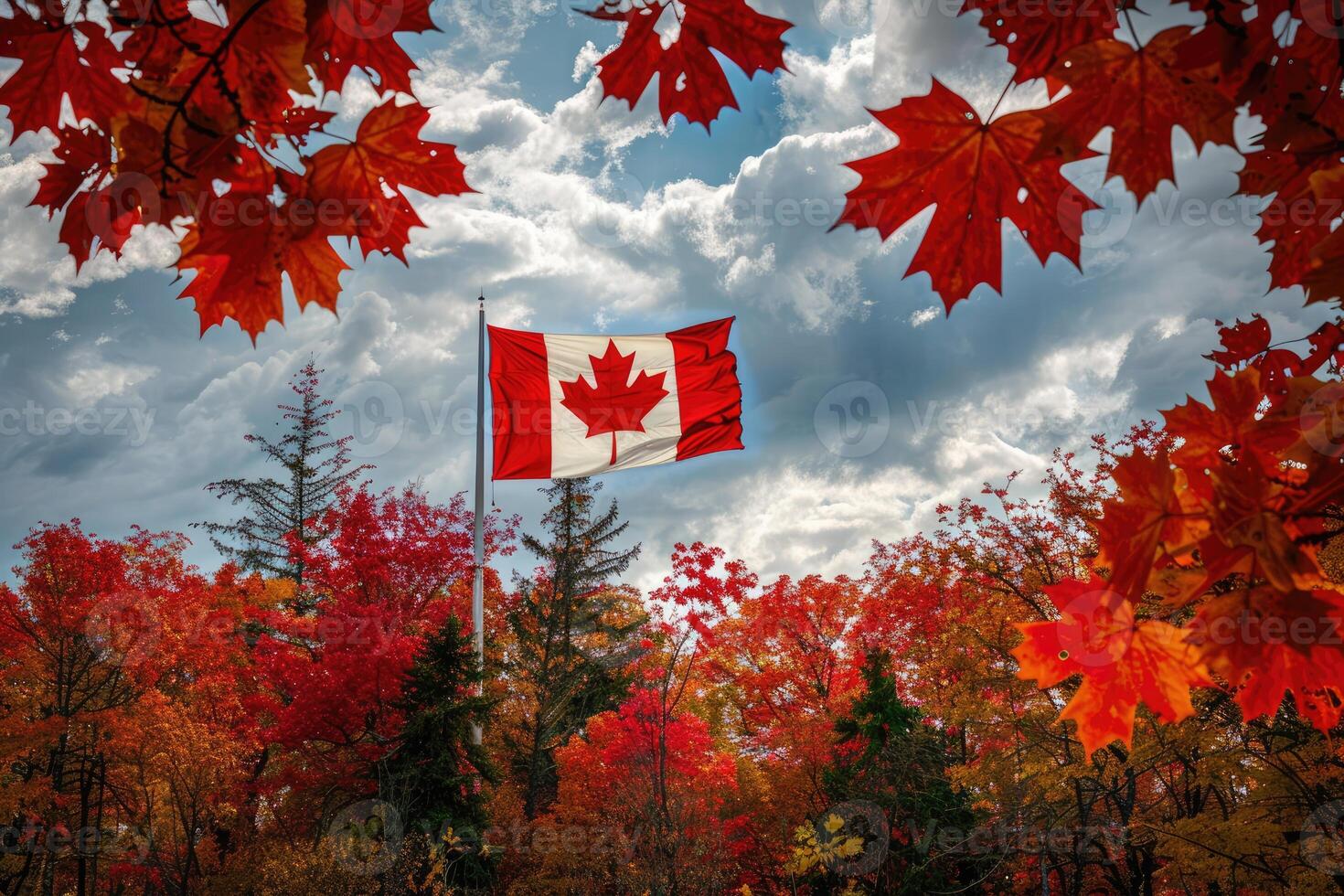 Canadian flag on nature and maple background, Canada Day photo