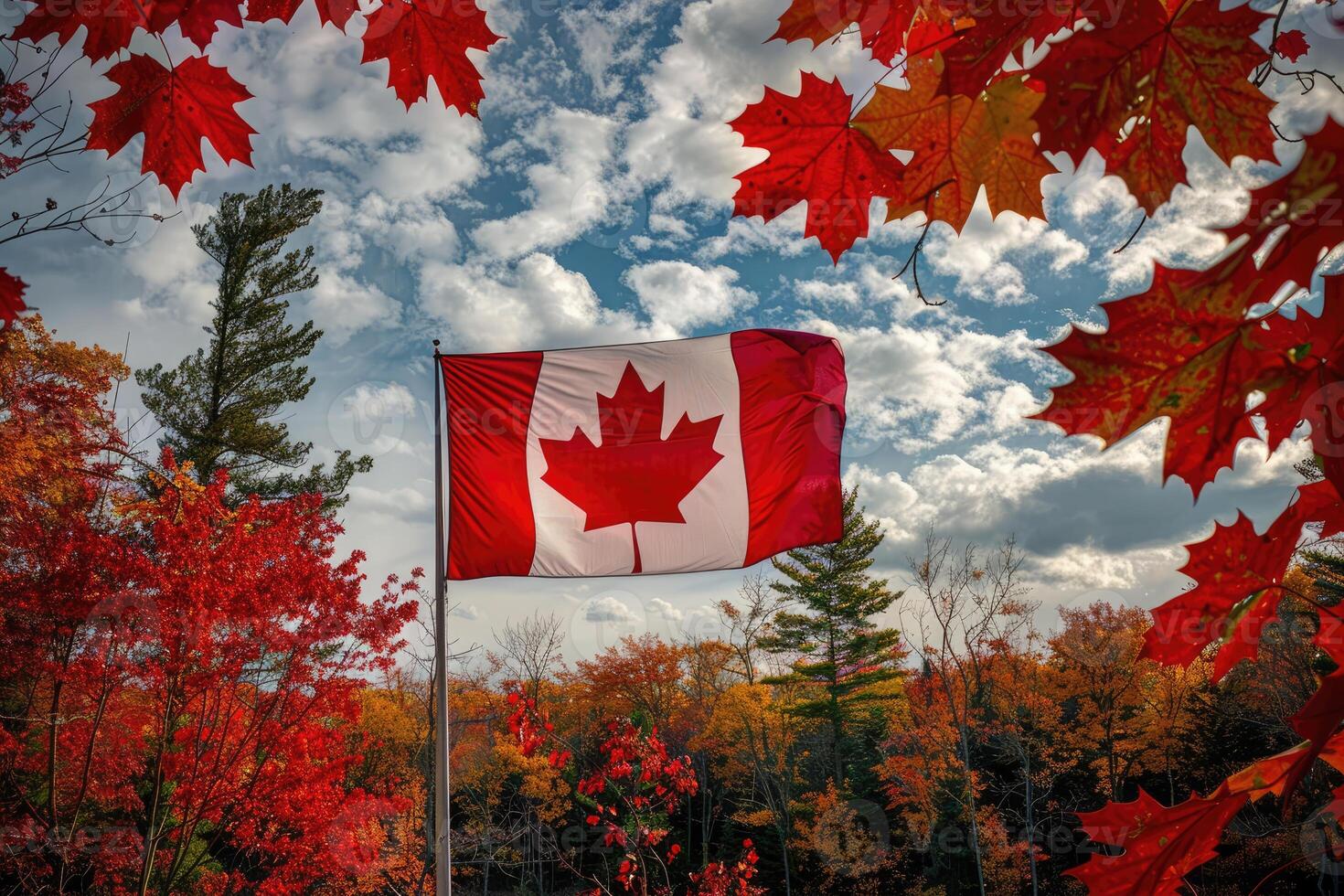 Canadian flag on nature and maple background, Canada Day photo