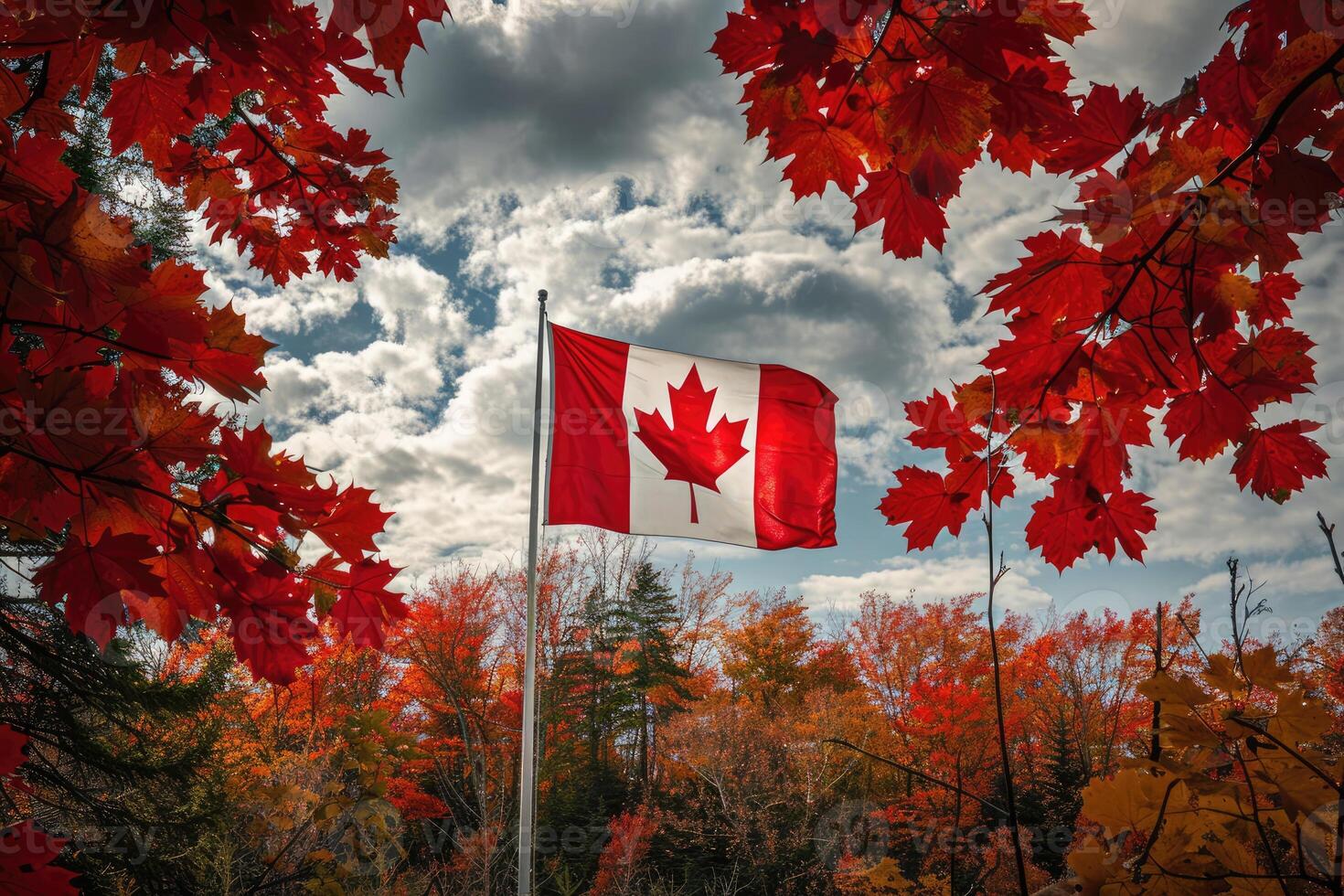 Canadian flag on nature and maple background, Canada Day photo