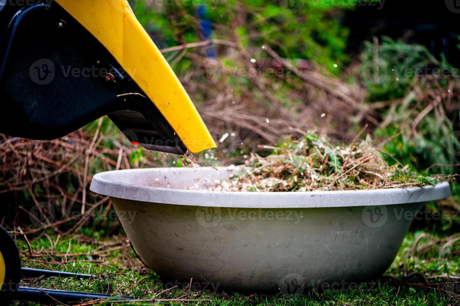 The process of chopping branches into mulch with wood chipper in garden, ecology, wood recycle photo