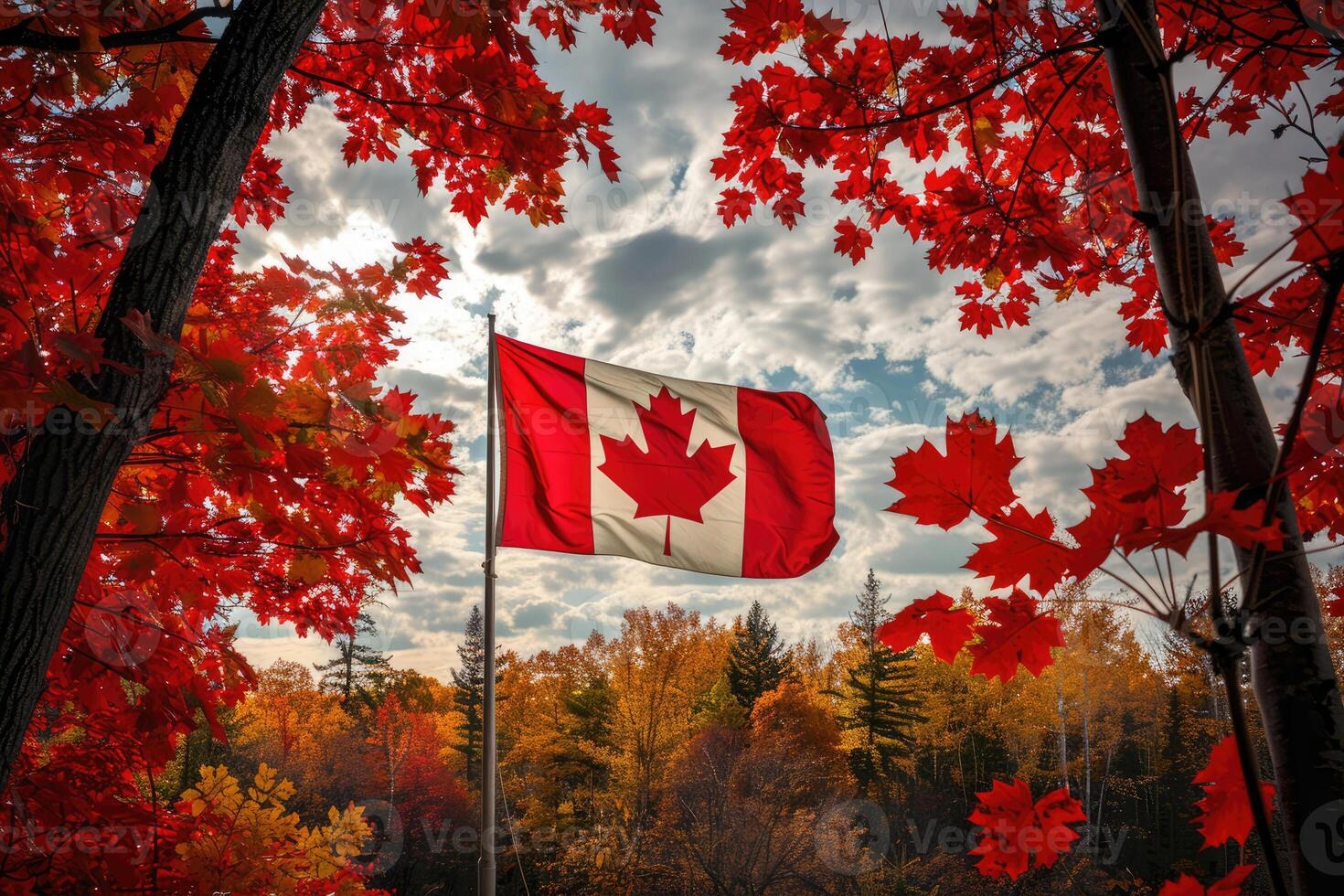 Canadian flag on nature and maple background, Canada Day photo