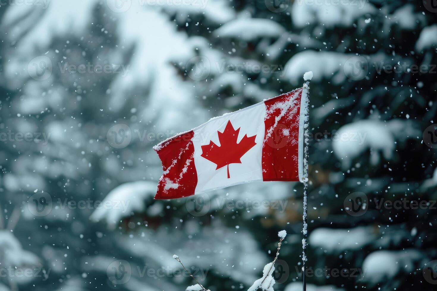Canadian flag on nature winter background, Canada Day photo