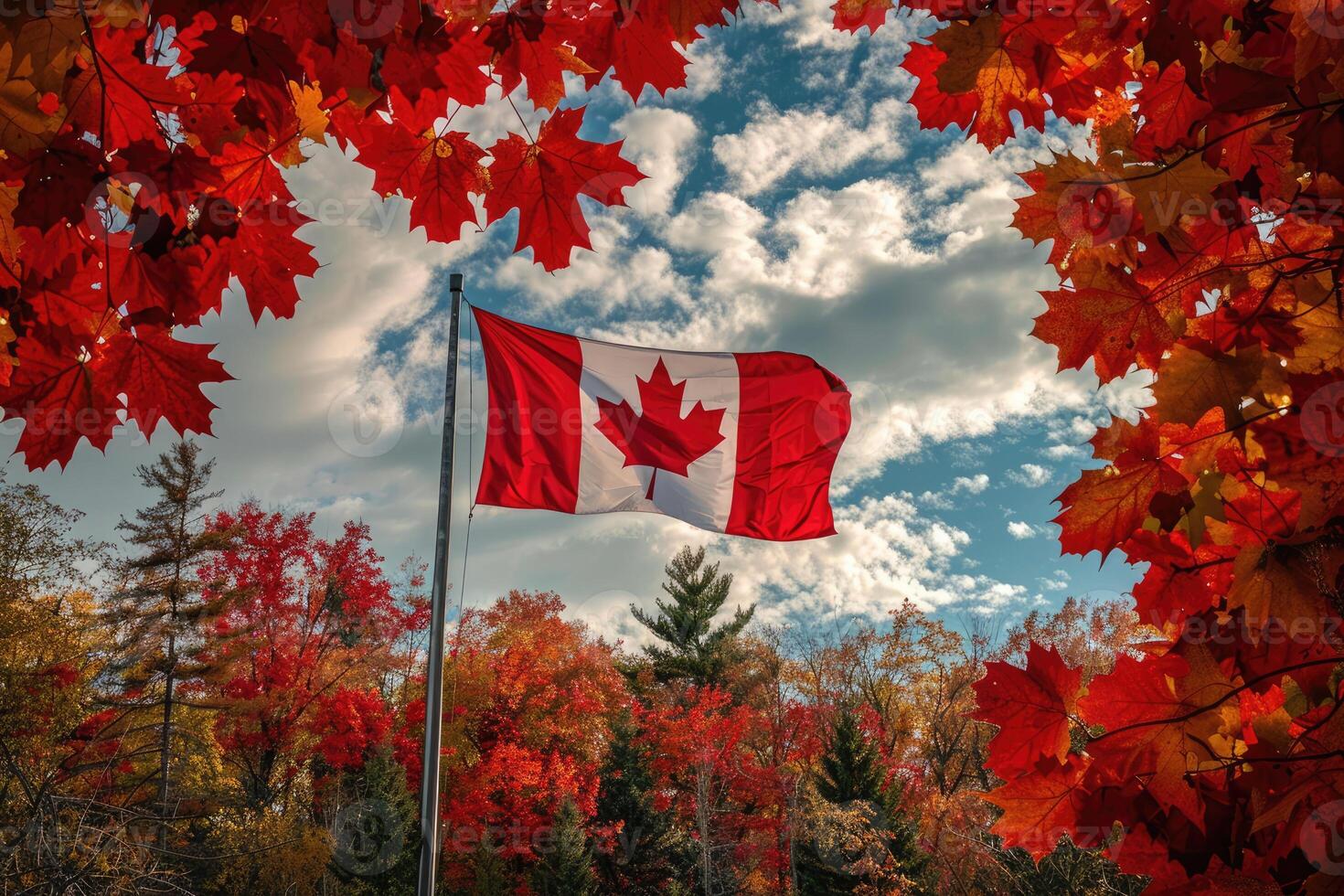 Canadian flag on nature and maple background, Canada Day photo