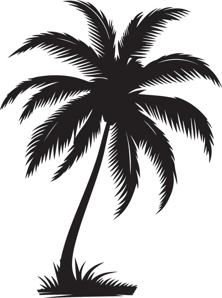 Palm tree Silhoutte High Quality with White Background vector