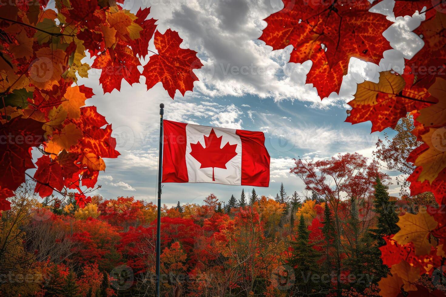 Canadian flag on nature and maple background, Canada Day photo