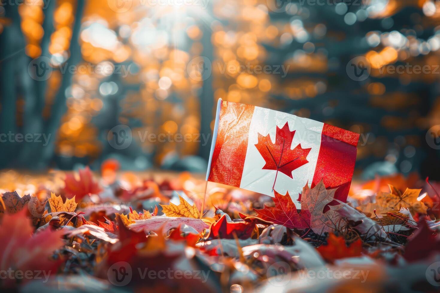 Canadian flag on nature and maple background, Canada Day photo