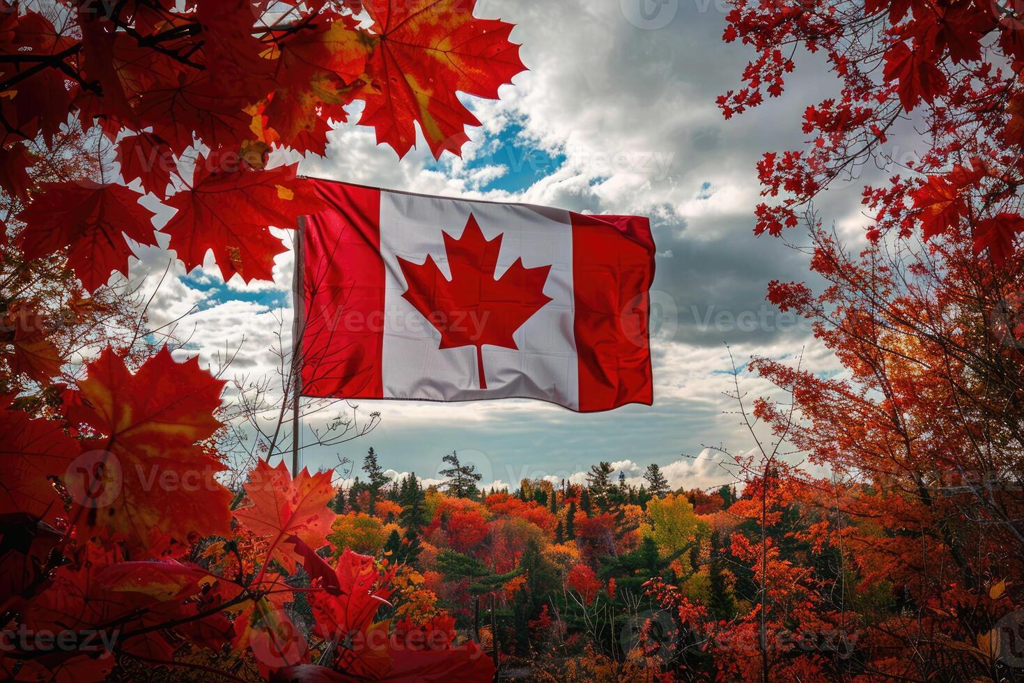 Canadian flag on nature and maple background, Canada Day photo