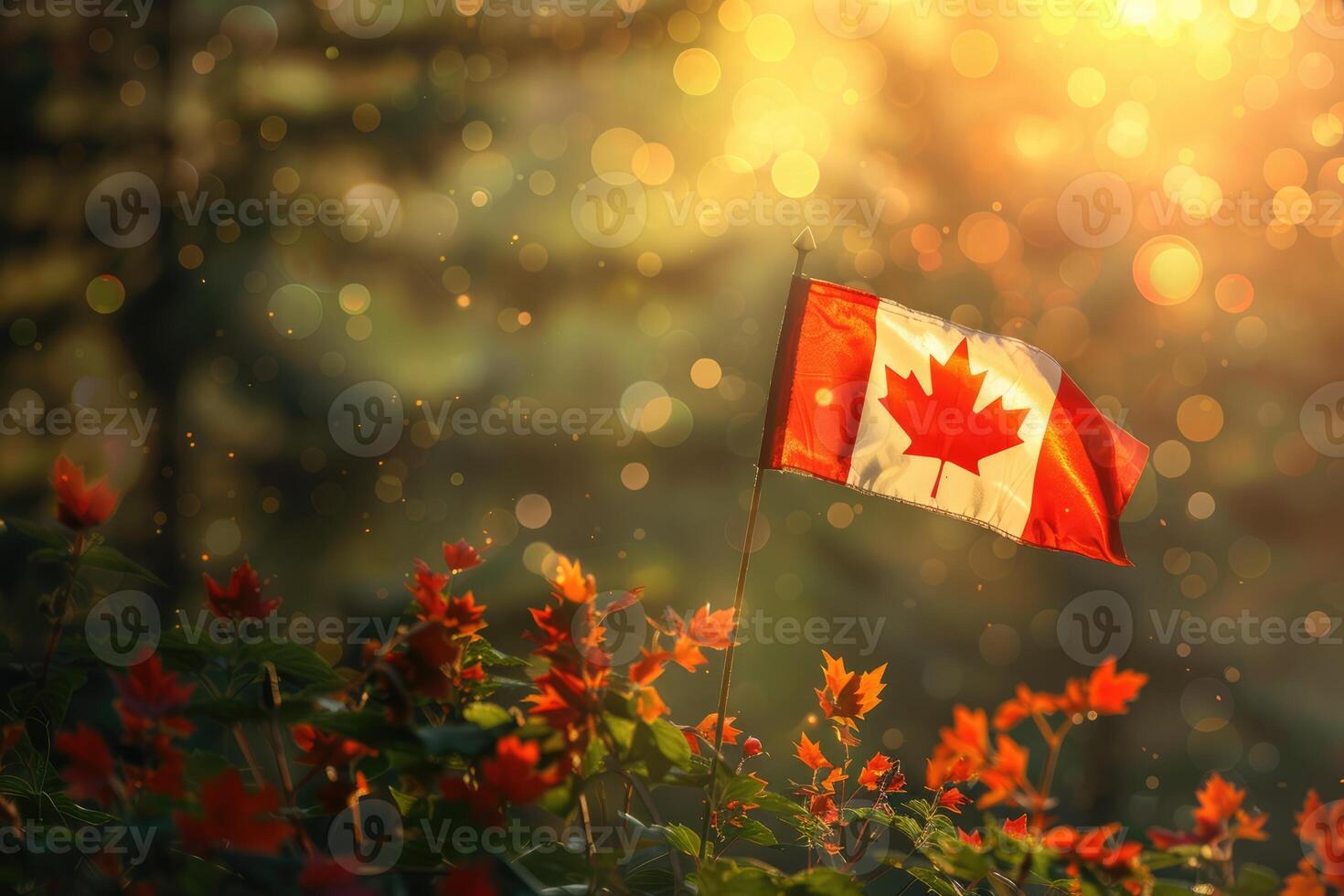 Canadian flag on nature background, Canada Day photo