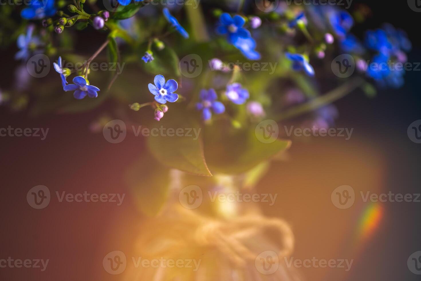 bouquet of blue forget-me-nots in a glass vase. congratulation, beautiful card for birthday, mother's day and wedding photo