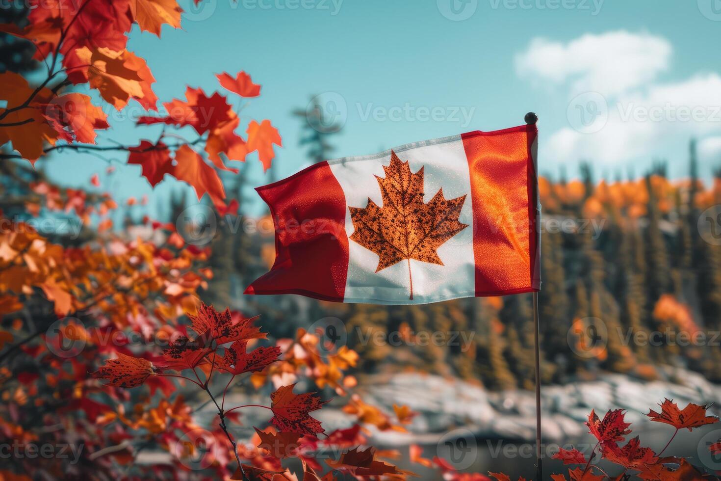 Canadian flag on nature and maple background, Canada Day photo