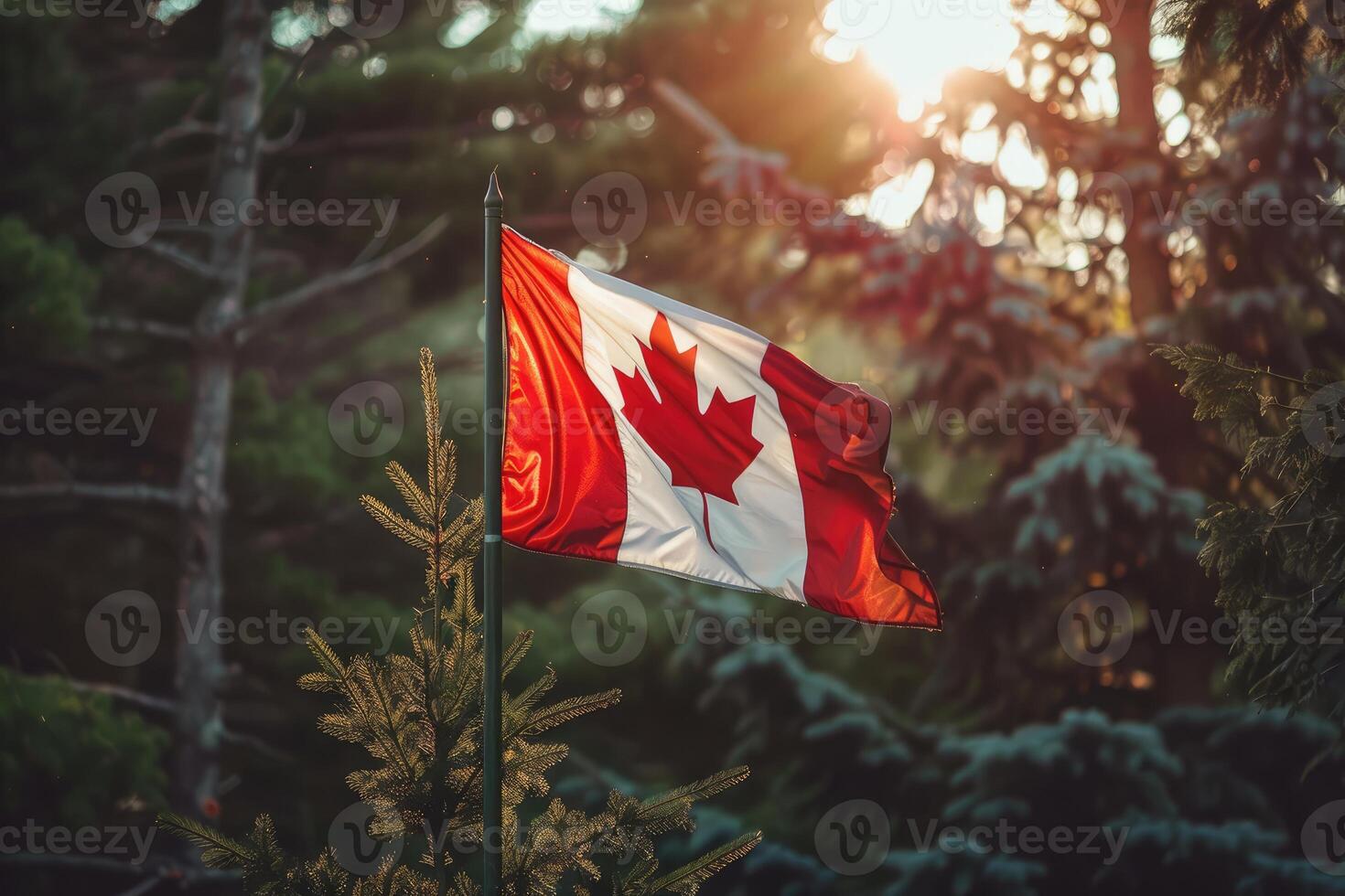 Canadian flag on nature background, Canada Day photo