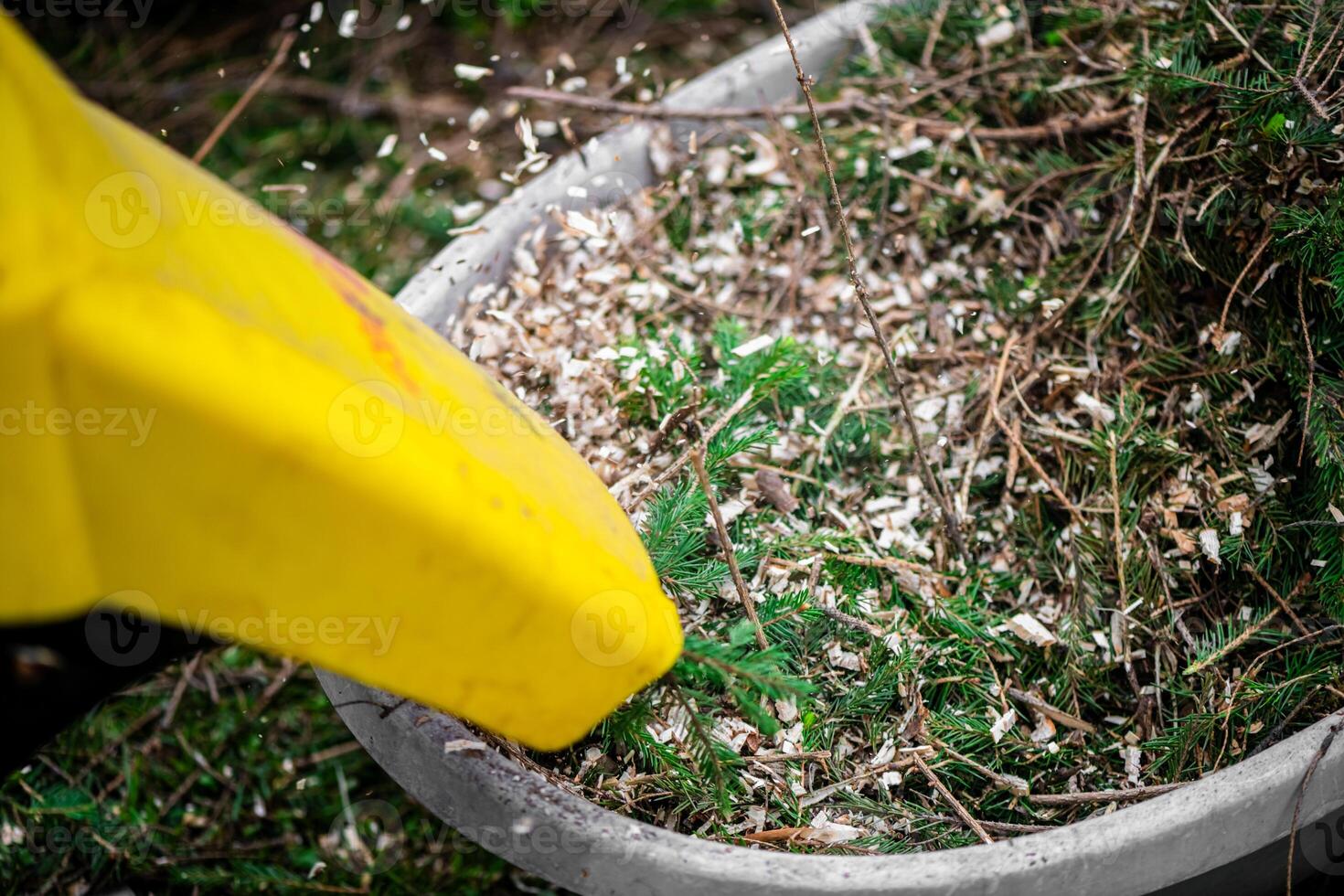 The process of chopping branches into mulch with wood chipper in garden, ecology, wood recycle photo