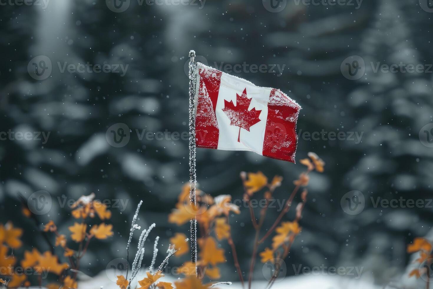 Canadian flag on nature winter background, Canada Day photo