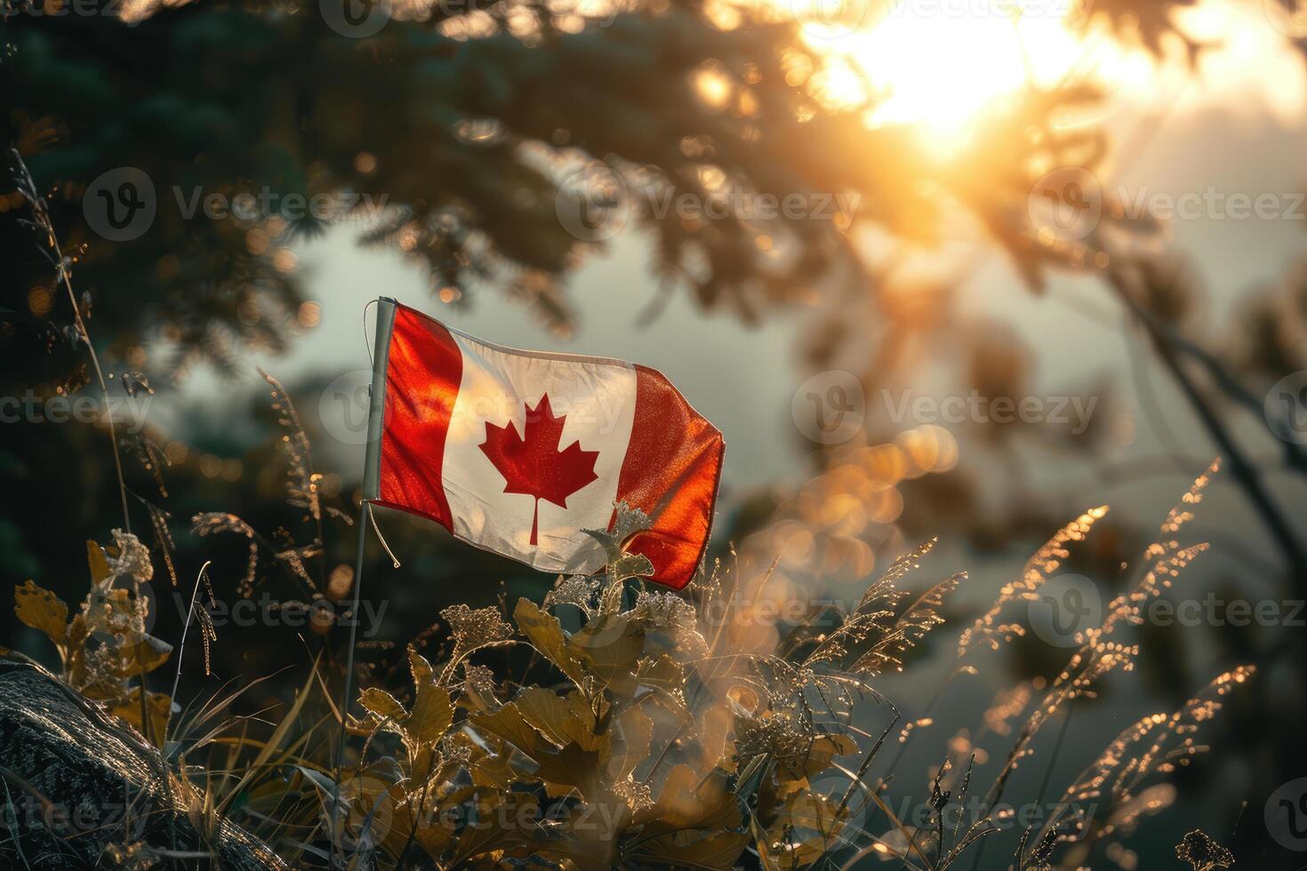 Canadian flag on nature autumn background, Canada Day photo