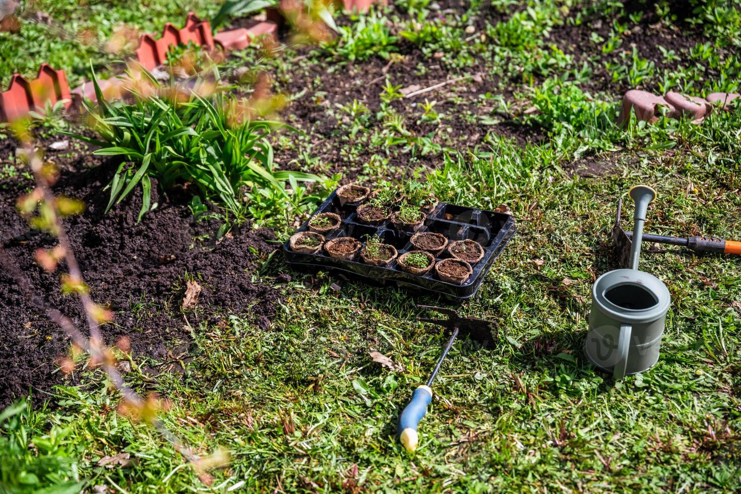 Peat pots with seedlings stand near the bed, preparation for planting, garden, agriculture photo