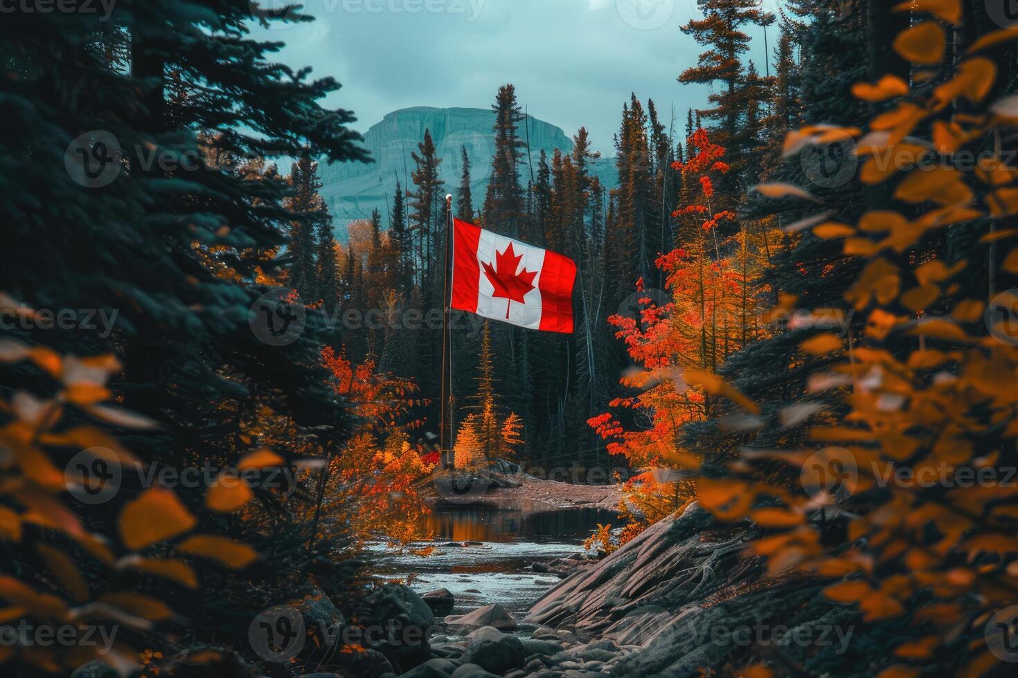 Canadian flag on nature and maple background, Canada Day photo