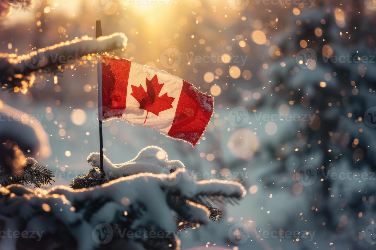 Canadian flag on nature winter background, Canada Day photo