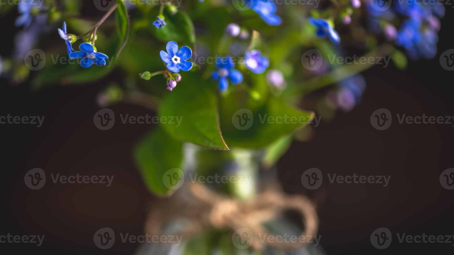 bouquet of blue forget-me-nots in a glass vase. congratulation, beautiful card for birthday, mother's day and wedding photo