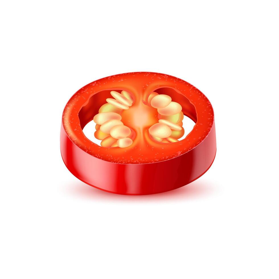 Realistic raw isolated chili 3d pepper ring vector