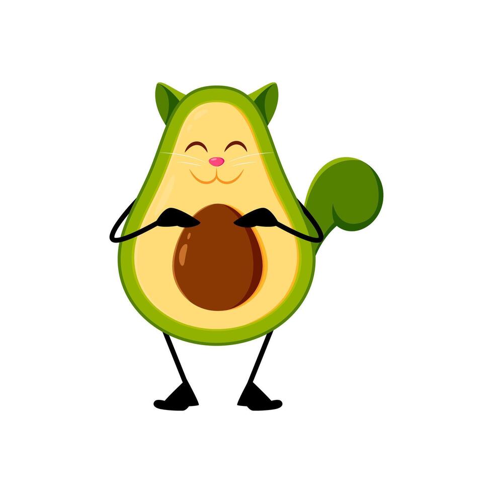 Cartoon mexican avocado avocat isolated character vector