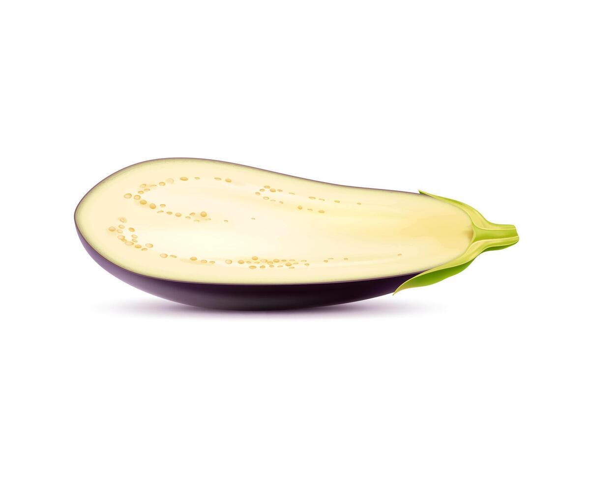 Realistic raw isolated eggplant vegetable half vector