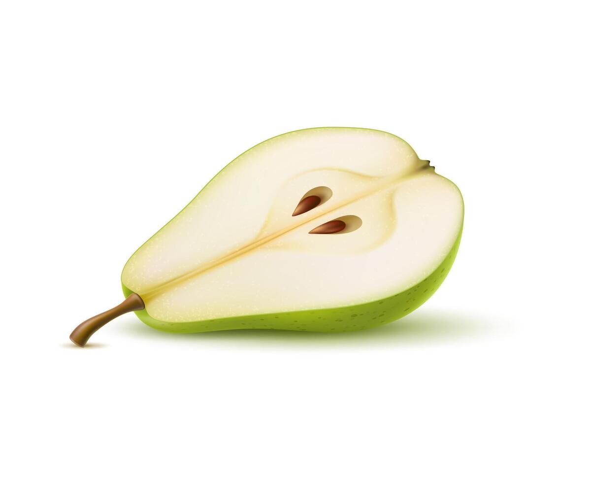 Raw realistic green pear, ripe fruit in half cut vector