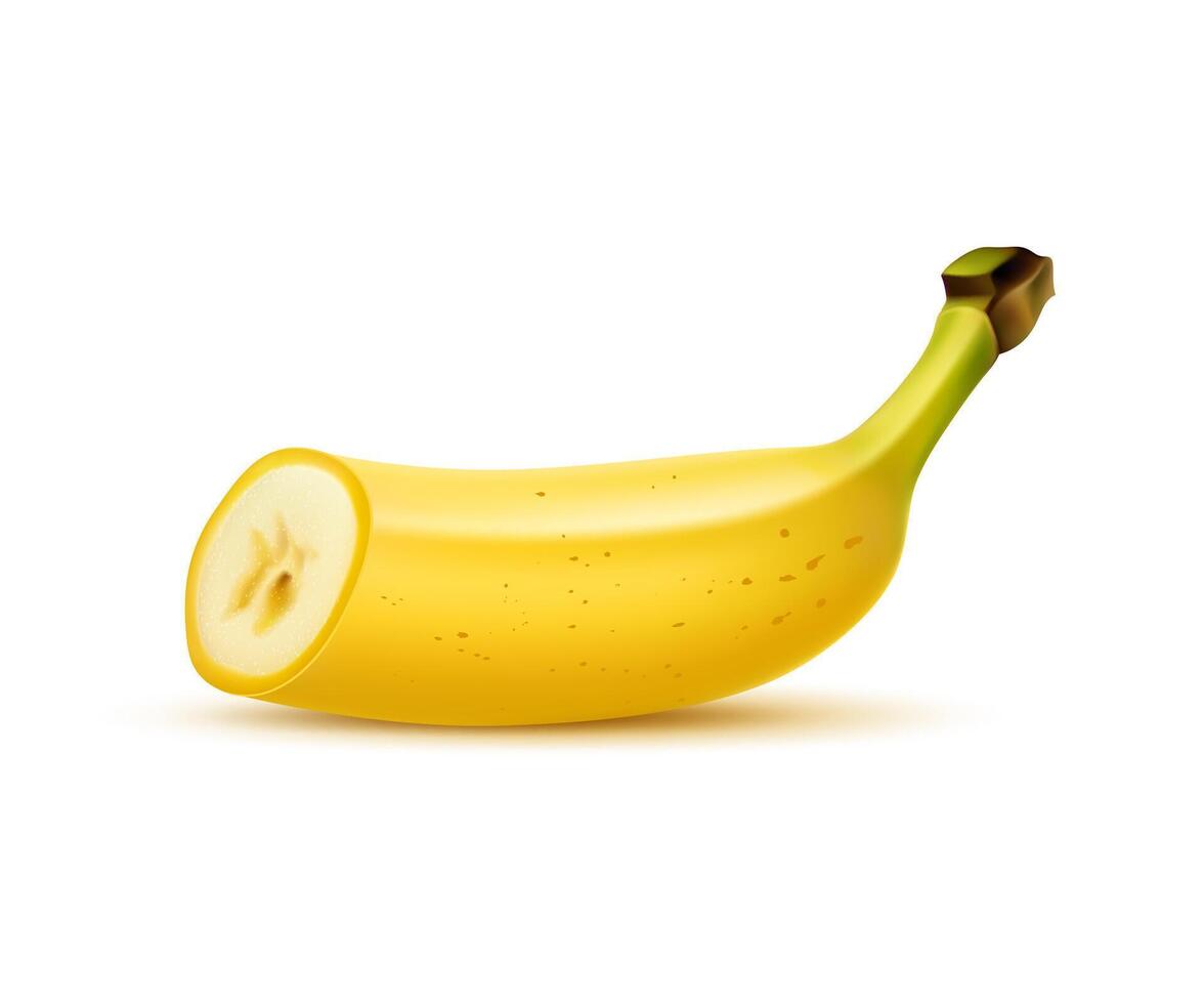 Realistic half of ripe banana fruit with peel vector