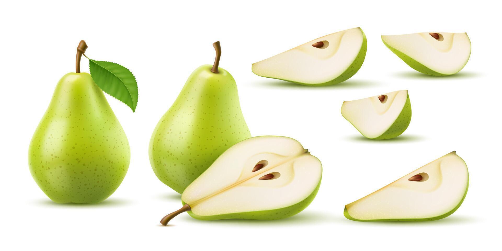 Raw realistic green pear fruit, whole and half vector