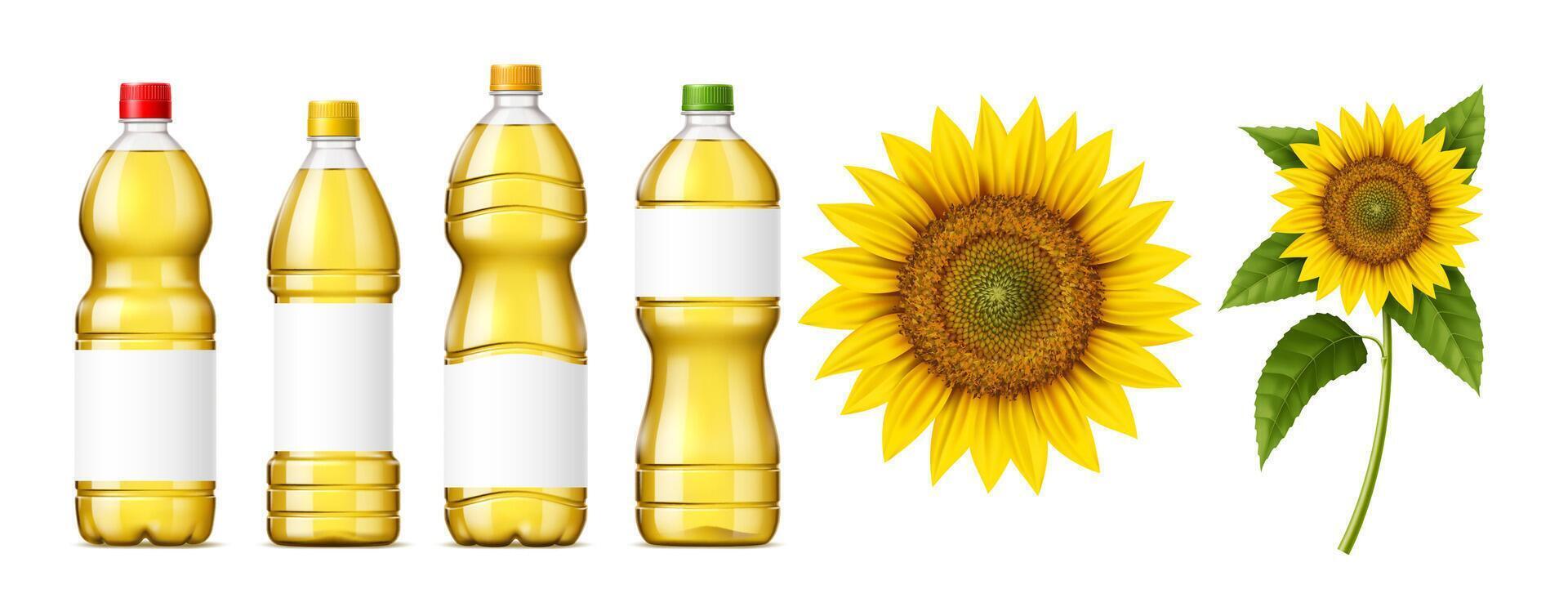 Sunflower oil isolated bottles and flowers vector